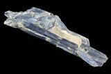 Vibrant Blue Kyanite Crystal Cluster - Brazil #95582-1
